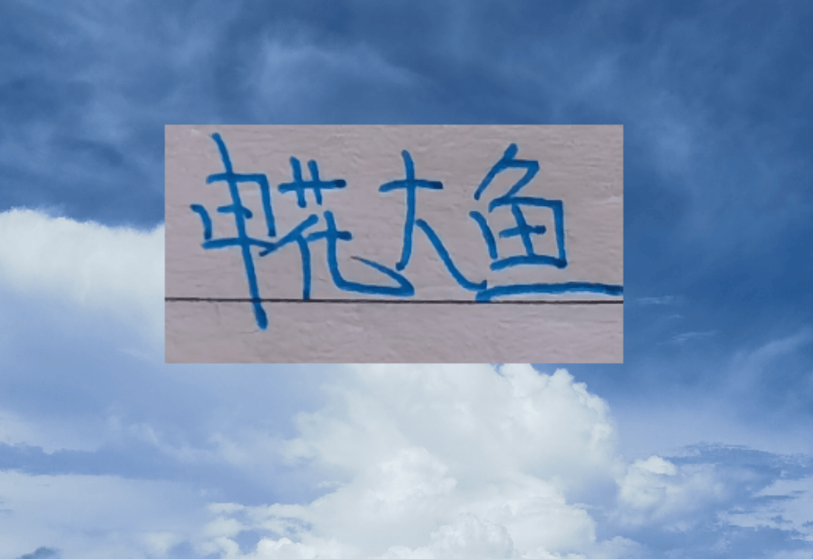 申花大鱼终于上岸了！切尔西教练2026年第一天下课